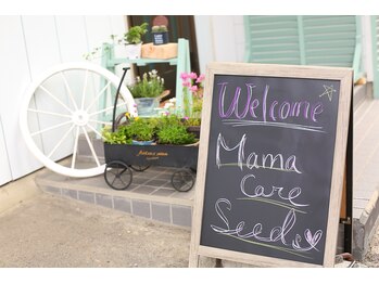 ママケアシーヅ(Mamacare Seeds)/2 入って頂いて大丈夫です。