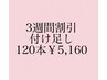 【3週間以内】付け足し☆フラットマットラッシュ120本まで￥5,160
