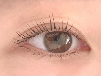 ランド(LAND)/ラッシュリフト