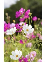 タイ古式マッサージ ワイガーデン目黒東口店&nbsp;片松 (西＆東口)