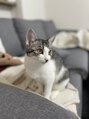 ココ(COCO) 愛猫のシュシュちゃんです♪
