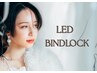 【圧倒的モチ&濃さ！】LED×バインドロック120束￥12420/140束￥13920