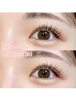 ルポア バイ ヴィブリス(leffoi by VIBLiSS)/LEDパリエク30本