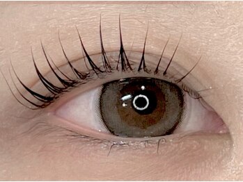 ティコ(+tico)/パリジェンヌラッシュリフト*