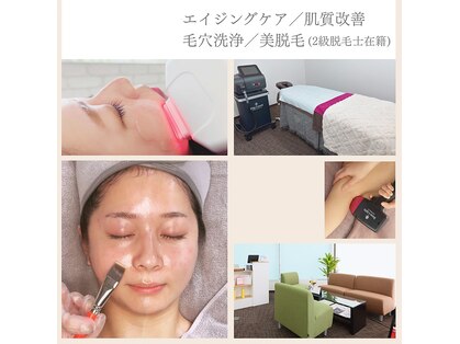 トゥインクル(Twinkle)の写真