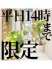 【平日14時まで限定】選べるオプション☆極上ドライヘッドスパ60分
