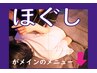 ★こちらはご案内パネルです★