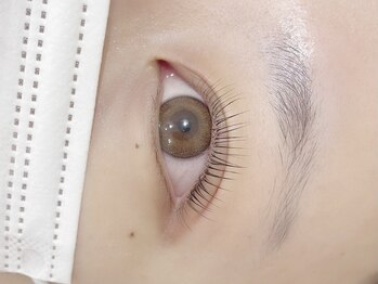 バランス 泉中央店(balance)/ラッシュリフト