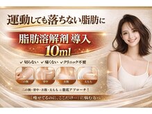 アイディール(ideal)