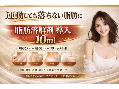 アイディール(ideal)の写真