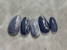 アートデザイン定額コース
