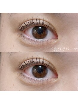 セーテ(sete)/【Lashlift】下のみ 