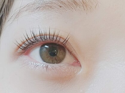 ルーム ノヘア(Room nohea)の写真