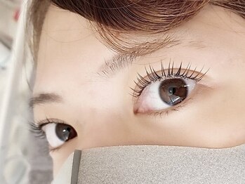 バタフライ 茅ヶ崎店(Butterfly)/まつ毛パーマ