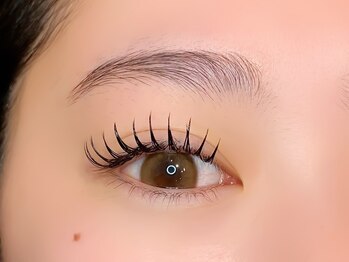 コア(Koa)/フラットラッシュ160本