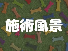 穴川駅前整骨院鍼灸院/★施術風景★