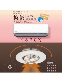 整体オガサワラ/強力な換気システムの採用