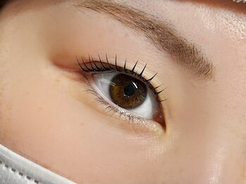 セウシェーン(Ceushen by dawn)/まつ毛パーマ/上まつげパーマ