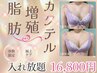【体験限定】脂肪細胞増殖カクテル入れ放題★極上バストケア（マッサージ込）