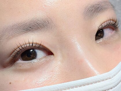 レガリア(Regalia)の写真