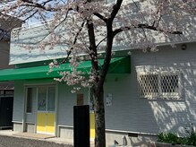 春は桜の綺麗な閑静な住宅街で、目立たず運営しております。