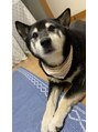 ラフテル整骨院 私の大好きな愛犬です☆私のイヌマッサージがお気に入り(^^♪