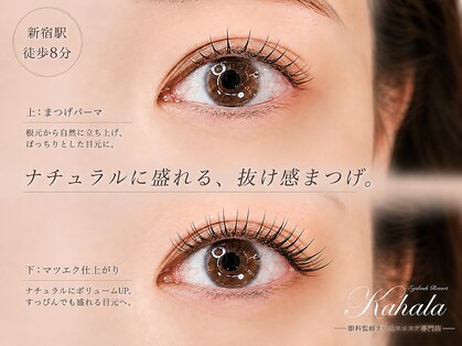 アイラッシュリゾート カハラ 新宿店(Kahala)の写真