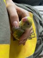 マキア 宇部店(MAQUIA) 家族のインコです！