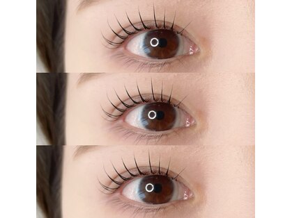 ポモ(pomo)の写真