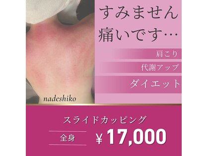 撫子アカデミーの写真