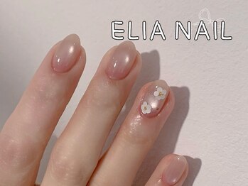 エリア(ELIA)/定額デザイン
