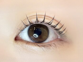 リノ カヒリ アイラッシュ(Lino kahili)/ラッシュリフト