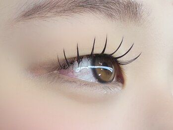 フリー#240(Free#240)/フラットラッシュ140本