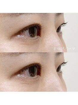 セーテ(sete)/【Lashlift】上のみ