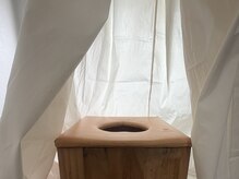 クスノキ(9sの木)/選べるチェア