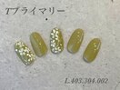 ハンド定額プライマリーコース