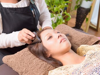 ハミングバード/頭皮のコリも！