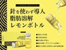 【OPEN記念】脂肪分解★レモンボトル/気になる所2cc 6,800円