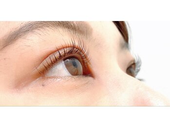 アイラッシュ ラビット(Eyelash Rabbit)/＊まつ毛カール＊