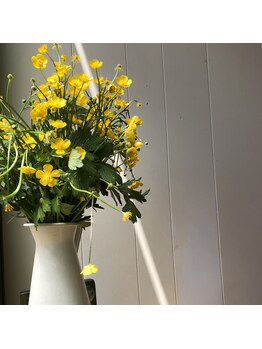 ケンコウサロン クローバー/ナチュラルに