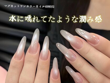 ラッキー(Lucky)の写真