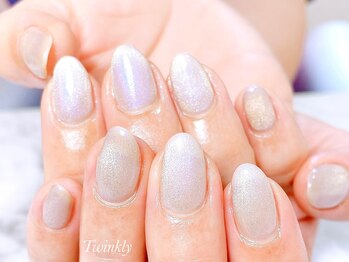 トゥインクリーネイルサロン(Twinkly Nail Salon)/マグネットネイル1カラー