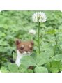 ネウラ 高田馬場院(neula)&nbsp;春はお花がたくさん咲くので写真撮影も楽しいです☆