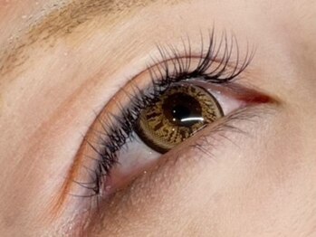 トータルビューティーブレイク 岐阜店(TOTAL BEAUTY BREK)/アイラッシュ60分コース