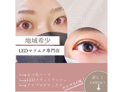 ロータス(LOTUS)の写真
