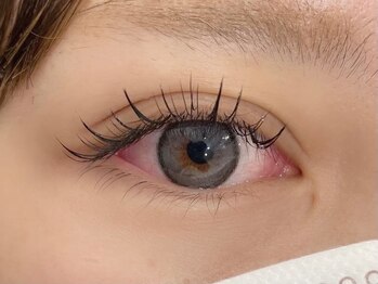 くるり 上野店/セーブル120本