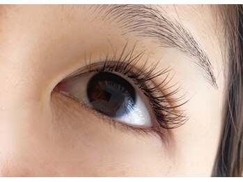 シマー(shimmer)/バインドロック60束