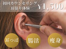 ヘルシースリム ともと