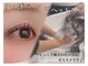 シロアイラッシュ(shiro.eyelash)の写真