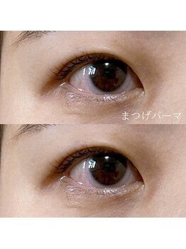 セーテ(sete)/【Lashlift】上のみ